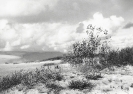 BBS05_118-6-43_r